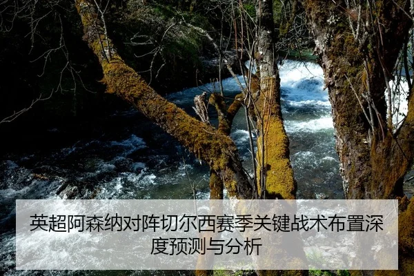 英超阿森纳对阵切尔西赛季关键战术布置深度预测与分析