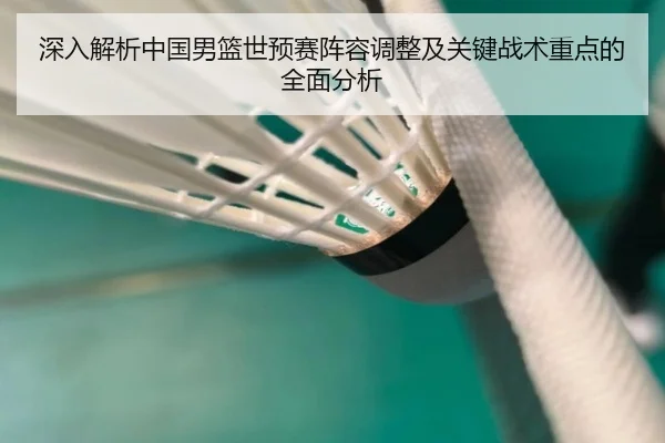 深入解析中国男篮世预赛阵容调整及关键战术重点的全面分析